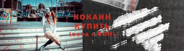 индика Гусиноозёрск