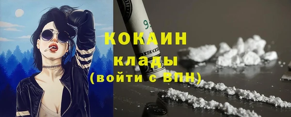 индика Гусиноозёрск