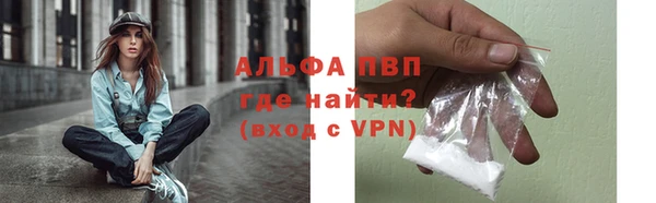 индика Гусиноозёрск