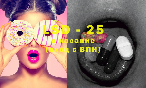 индика Гусиноозёрск