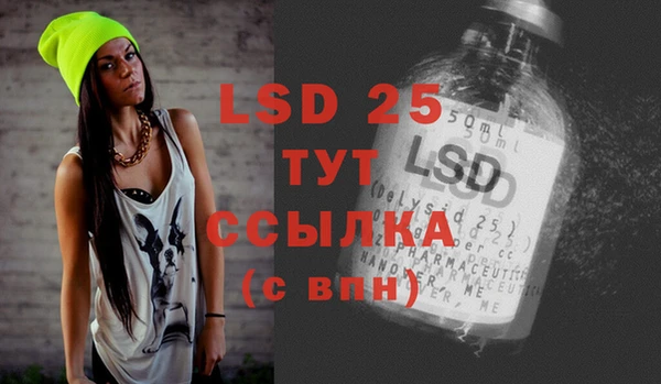 индика Гусиноозёрск
